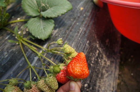 圖片關(guān)鍵詞